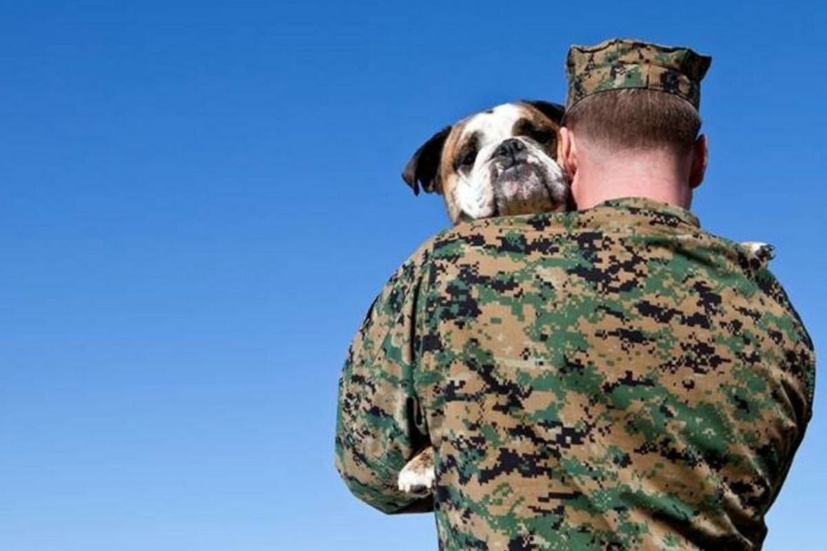 Lakeshore PAWS and Fifth Third Bank Provide Veterans with Dogs for Veteran’s Day