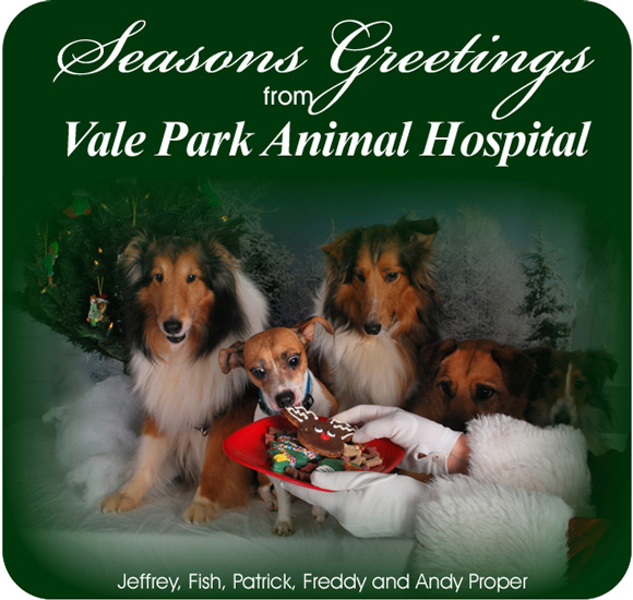 Vale Park Animal Hospital Wishes You a Happy Holidays