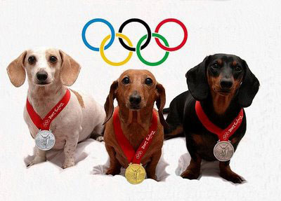Olympic Pets Sought at Vale Park