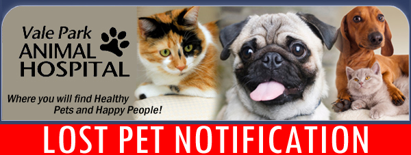 Lost Pet Alert!