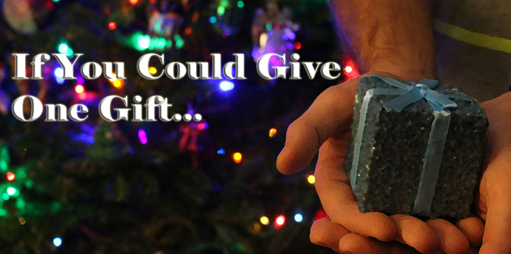 If You Could Give One Gift…