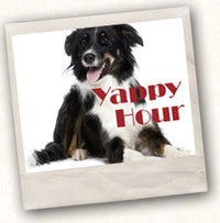 Yappy Hour at Zao Island This Sunday