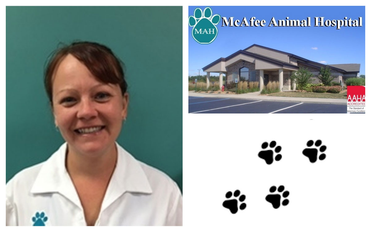 Dr. Lyndsay Klemans Offers Compassion and Love to Animals at McAfee Animal Hospital