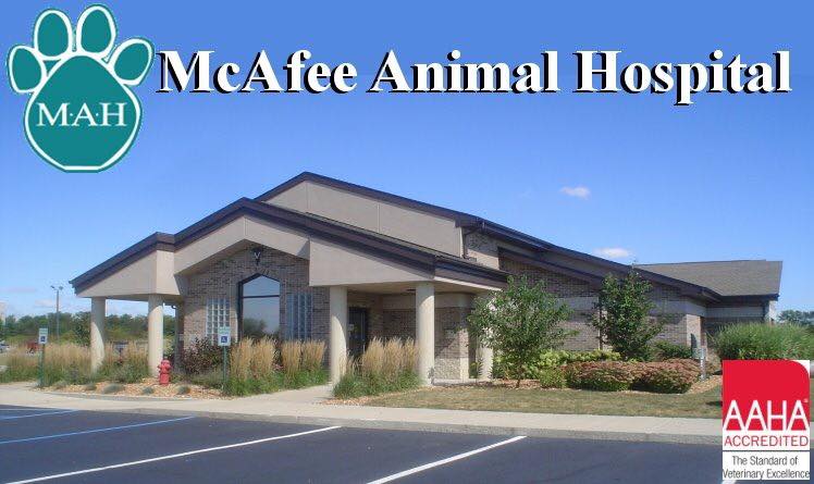 McAfee Animal Hospital Offers Boarding Options for Pets