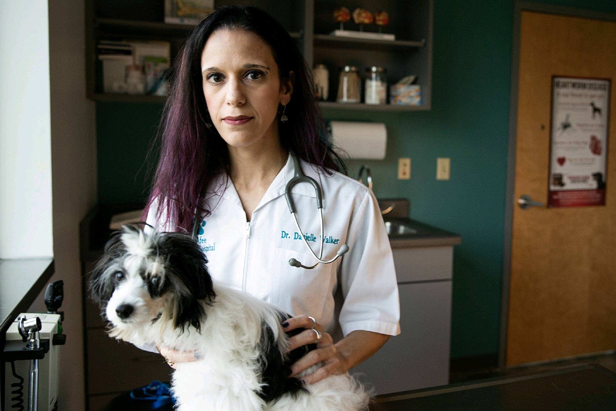 Meet Dr. Danielle Walker, Veterinarian and Puzzle Solver for McAfee Animal Hospital
