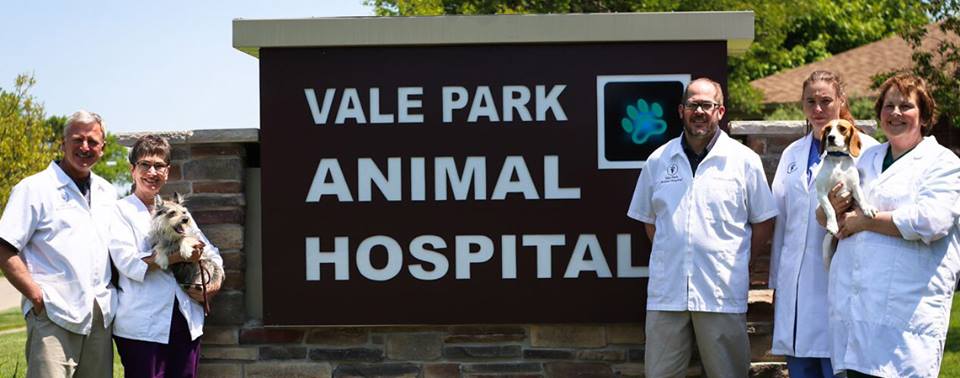 Lakeshore Paws and Vale Park Animal Hospital Start New Fur-ever Rescue Program