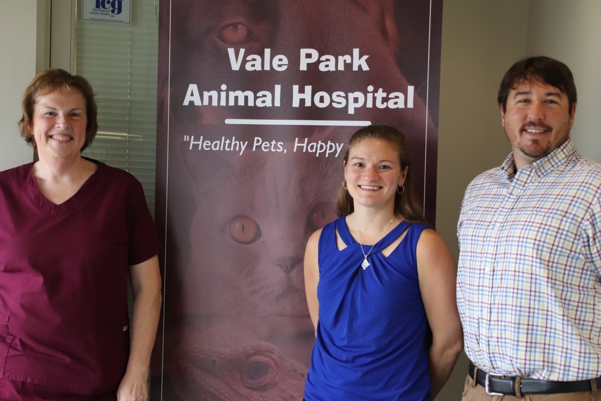 Dr. Harsy Highlights Exotic Medical Care at Vale Park Animal Hospital